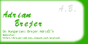 adrian brejer business card